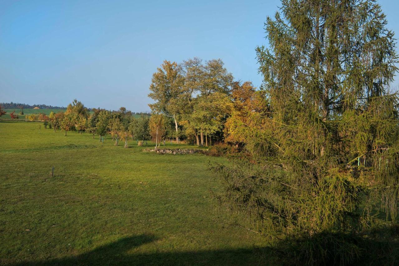 Zámek Libouň Hotel Louňovice pod Blaníkem Exterior foto